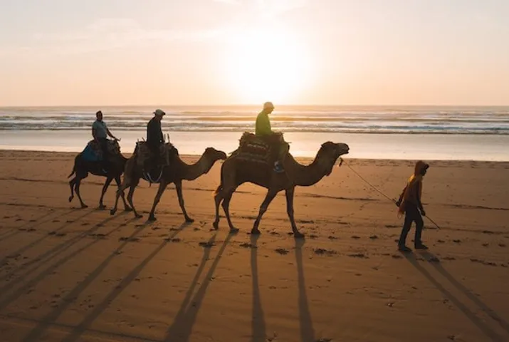 Camel Ride Agadir